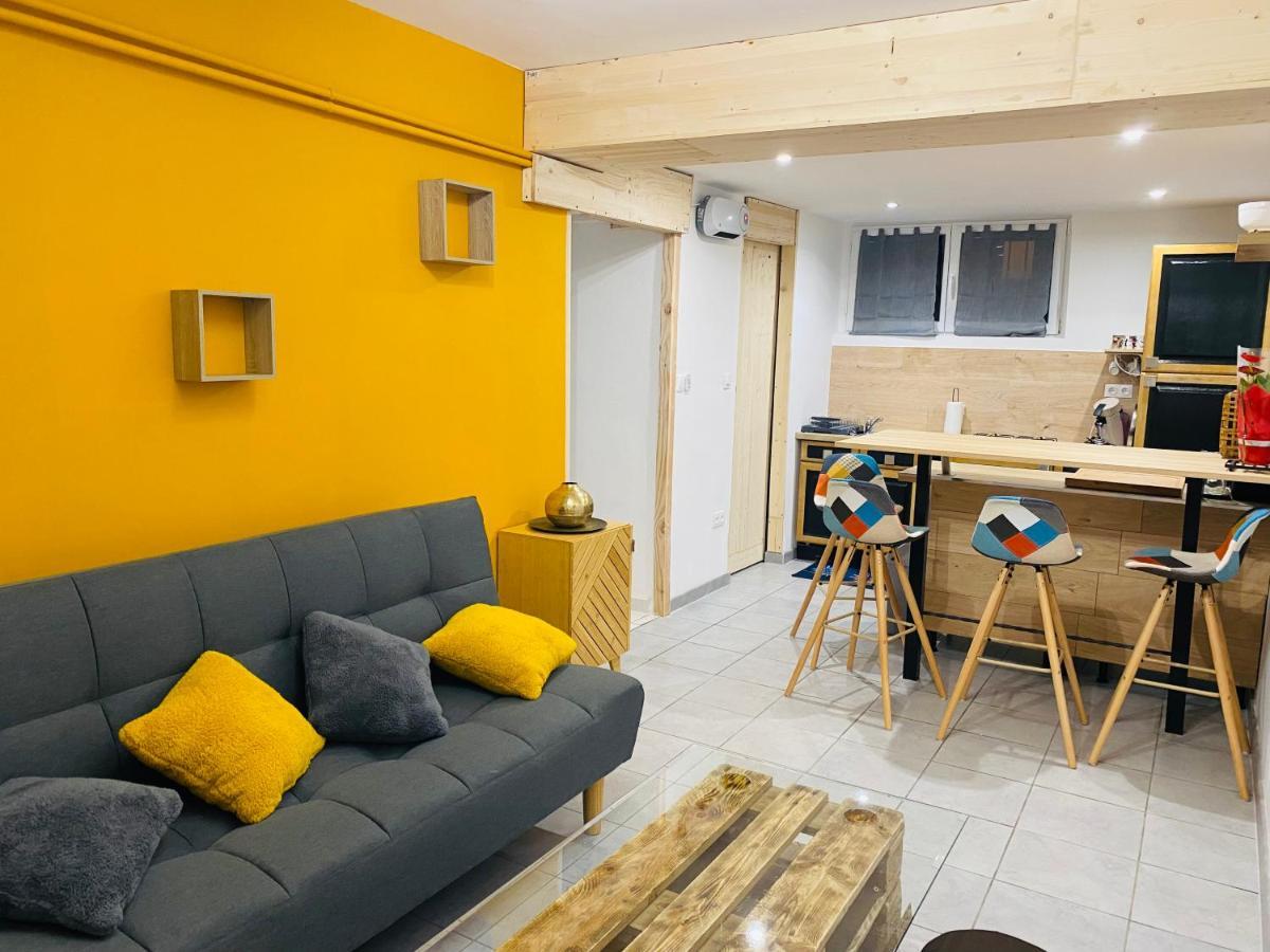 Studio 40M2 Plein Pied Avec Parking Jussac Exteriör bild