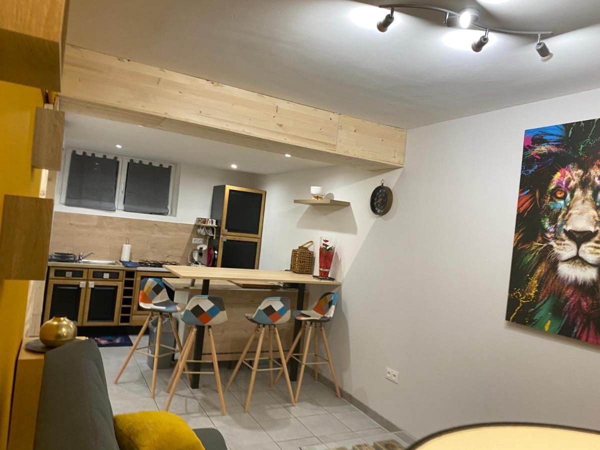 Studio 40M2 Plein Pied Avec Parking Jussac Exteriör bild