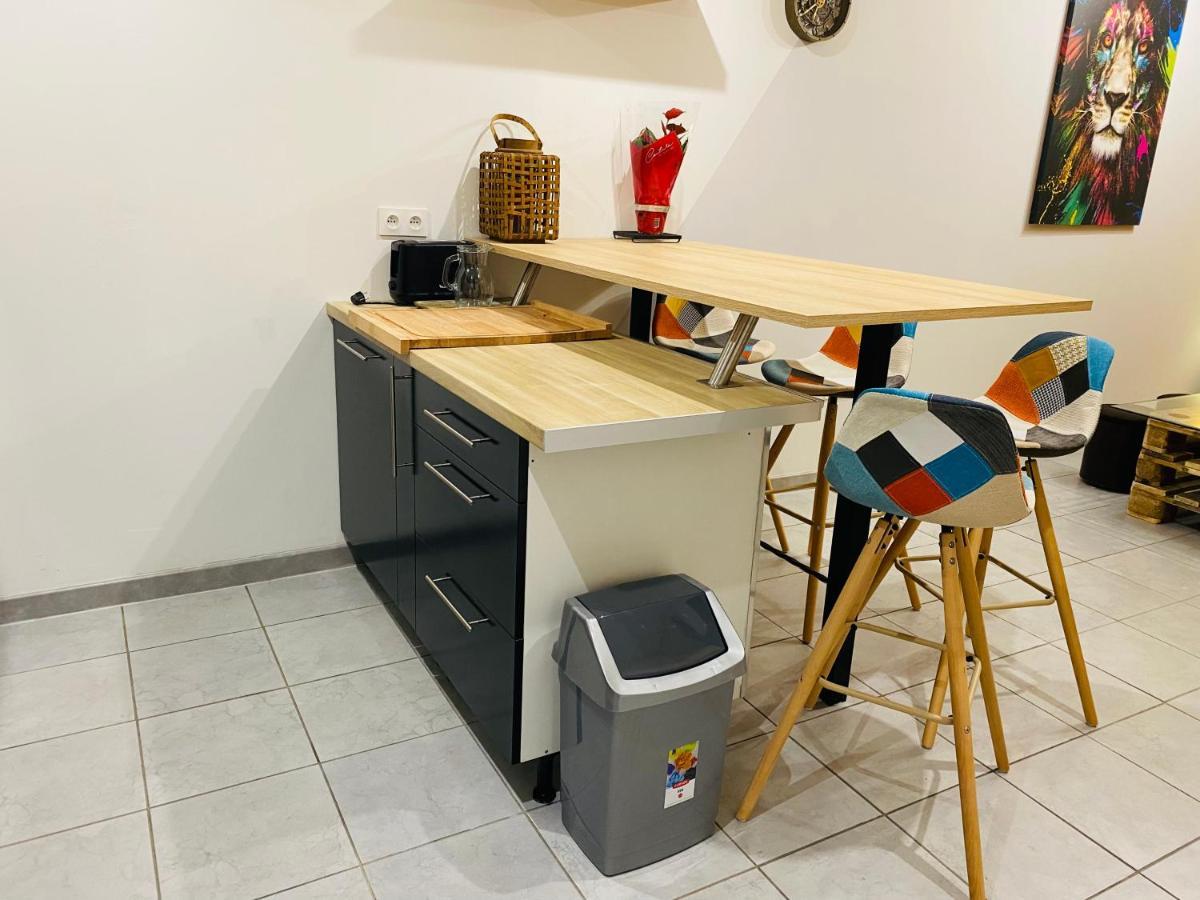 Studio 40M2 Plein Pied Avec Parking Jussac Exteriör bild