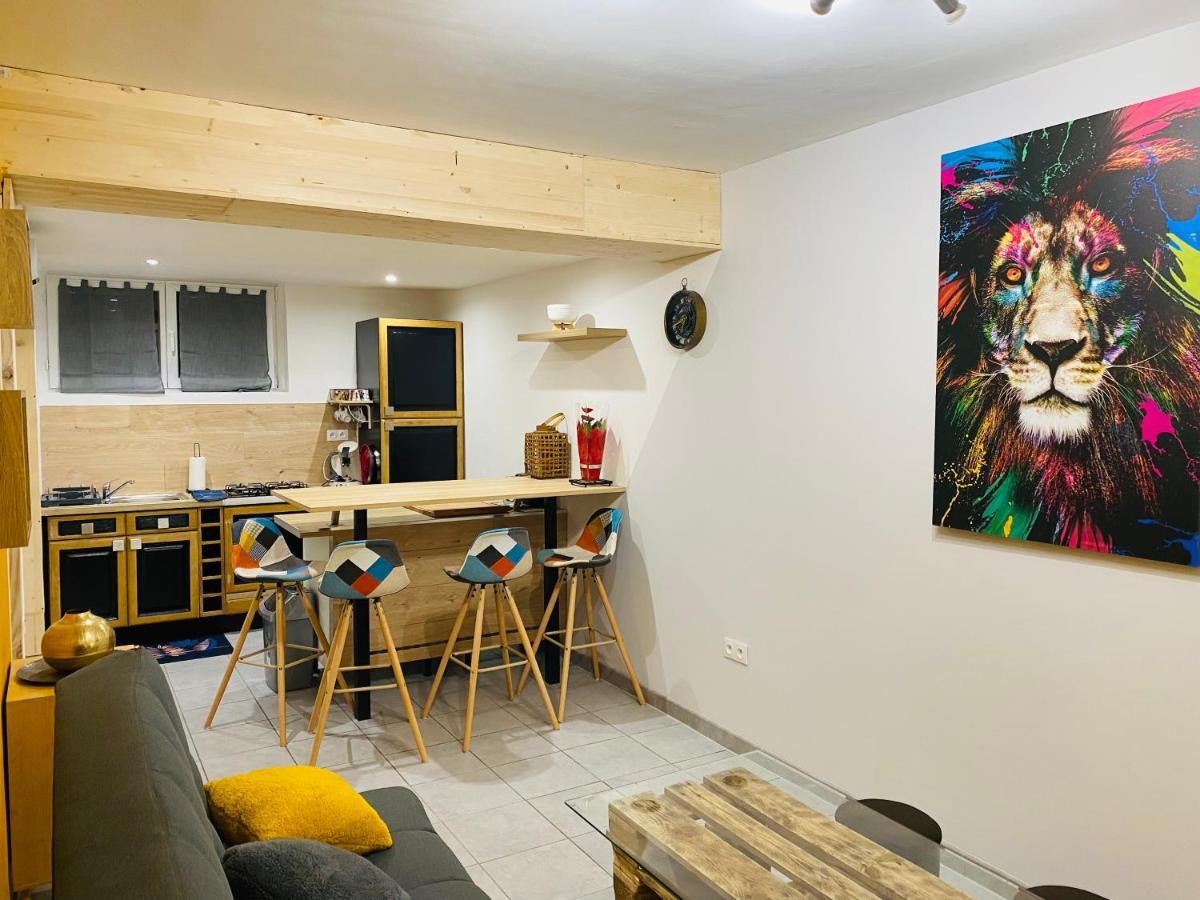 Studio 40M2 Plein Pied Avec Parking Jussac Exteriör bild